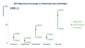 Figure 1: Survey findings for underwater grasses in Chesapeake Bay in 2014, compared to historical highs and lows. Image source: www.vims.edu/newsandevents/topstories/sav_2014_report.php